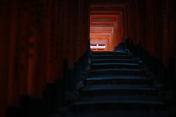 お写ん歩: SIGMA 85mm F1.4 DG DN | Artアーカイブ